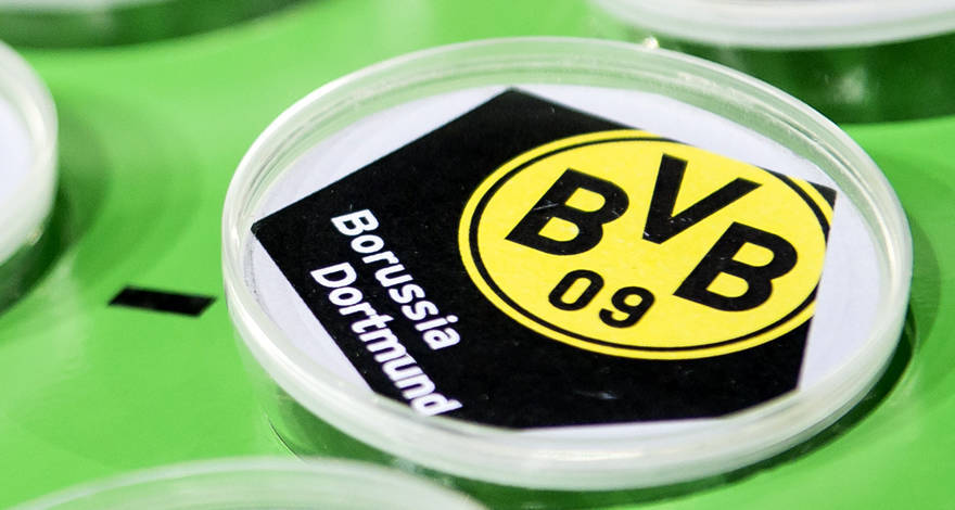 logo bvb